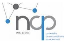 Logo for NCP Wallonie Logo for NCP Wallonie